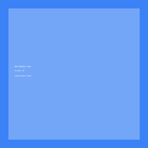 wms-electric Product 01